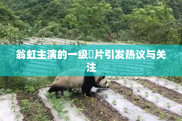 翁虹主演的一级婬片引发热议与关注