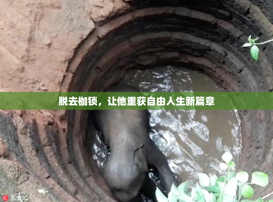 脱去枷锁，让他重获自由人生新篇章