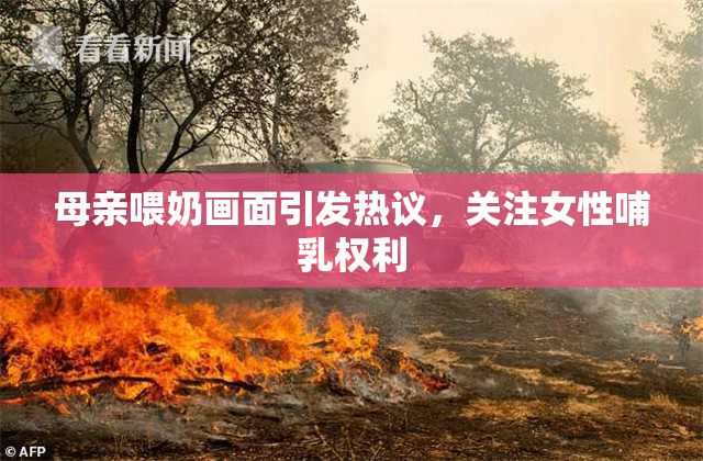 母亲喂奶画面引发热议，关注女性哺乳权利
