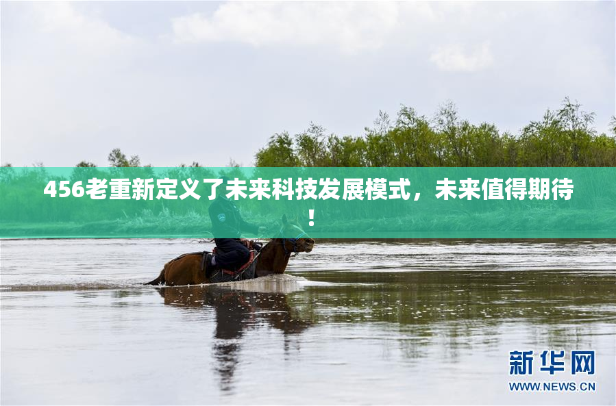 456老重新定义了未来科技发展模式，未来值得期待！