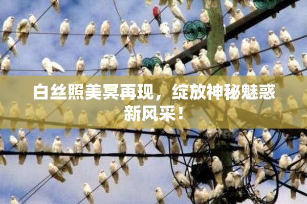 白丝照美冥再现，绽放神秘魅惑新风采！
