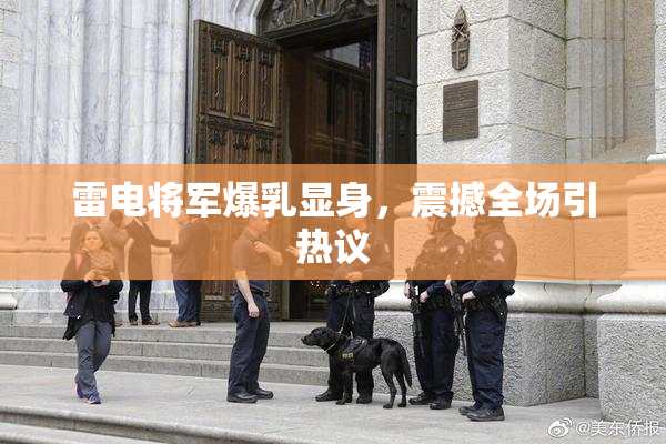 雷电将军爆乳显身，震撼全场引热议