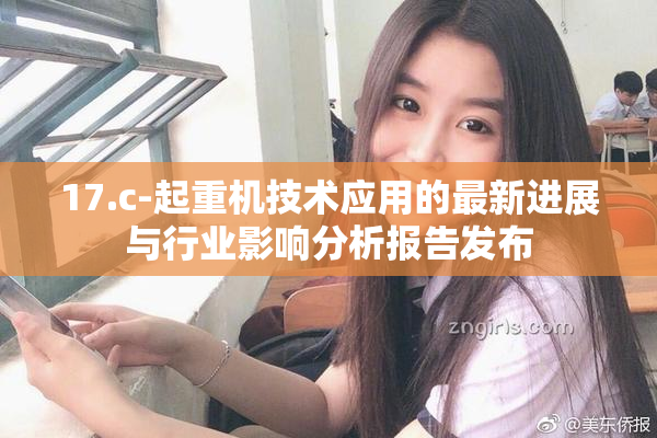 17.c-起重机技术应用的最新进展与行业影响分析报告发布