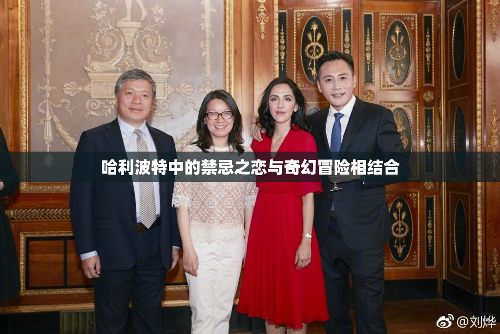 哈利波特中的禁忌之恋与奇幻冒险相结合