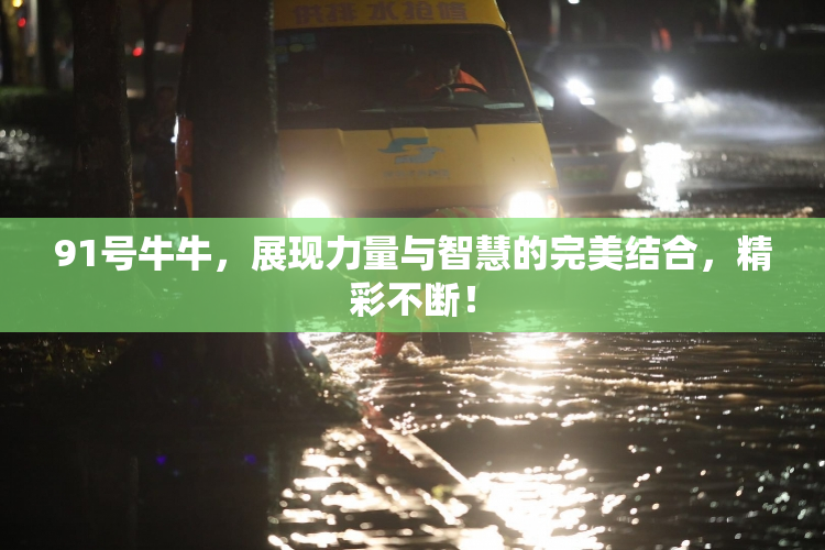 91号牛牛，展现力量与智慧的完美结合，精彩不断！