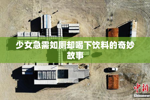 少女急需如厕却喝下饮料的奇妙故事