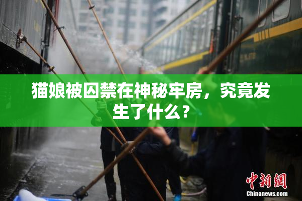 猫娘被囚禁在神秘牢房，究竟发生了什么？