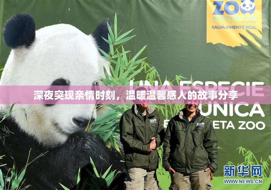 深夜突现亲情时刻，温暖温馨感人的故事分享