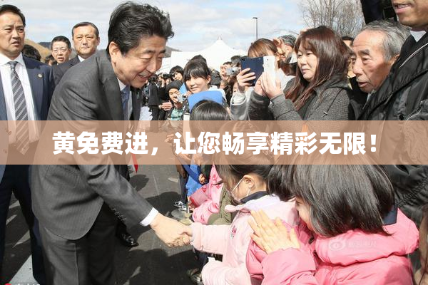 黄免费进，让您畅享精彩无限！