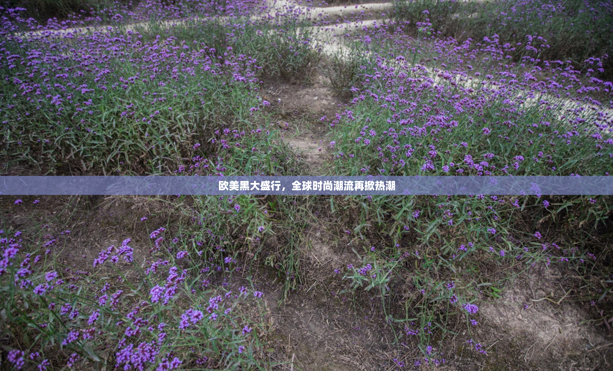 欧美黑大盛行，全球时尚潮流再掀热潮