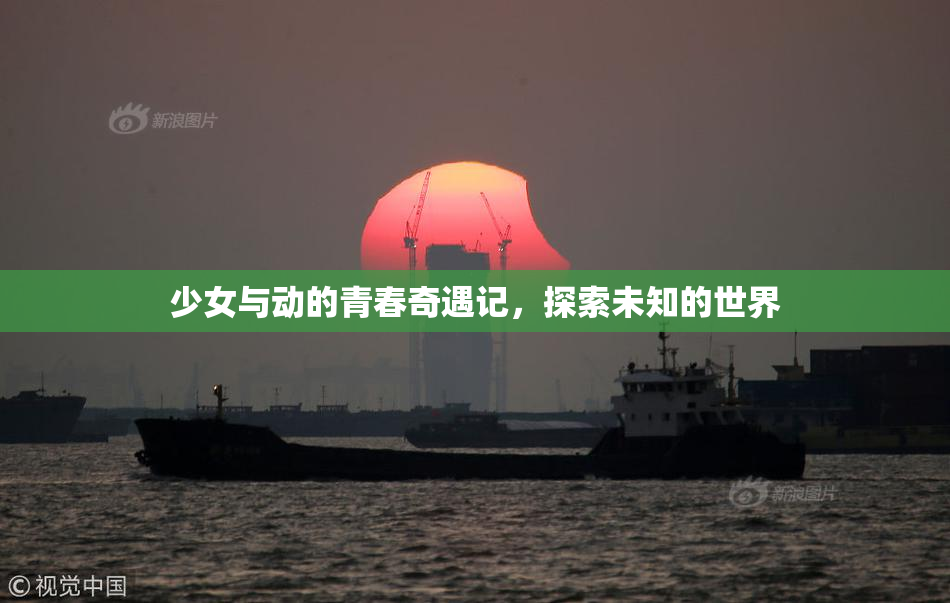 少女与动的青春奇遇记，探索未知的世界