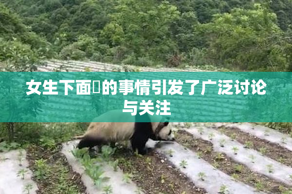女生下面岀的事情引发了广泛讨论与关注