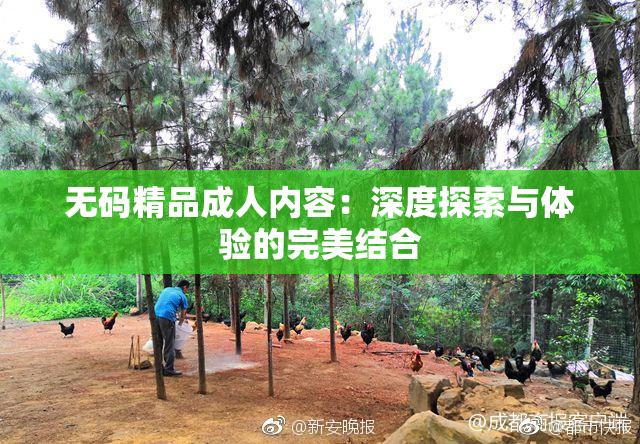 无码精品成人内容：深度探索与体验的完美结合