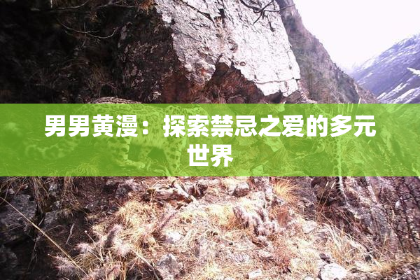 男男黄漫：探索禁忌之爱的多元世界
