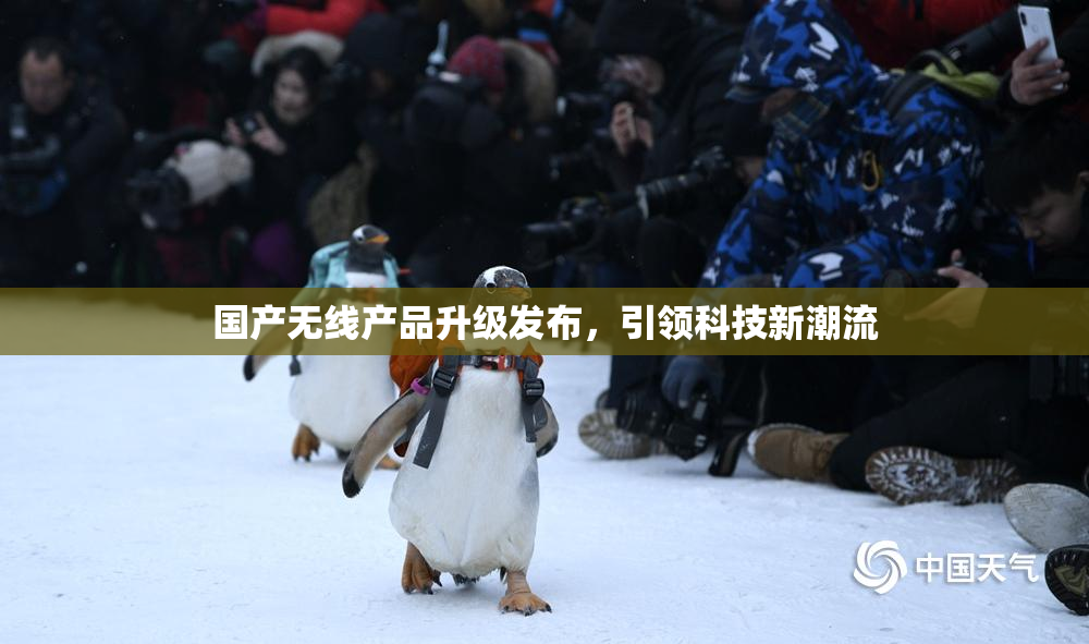 国产无线产品升级发布，引领科技新潮流
