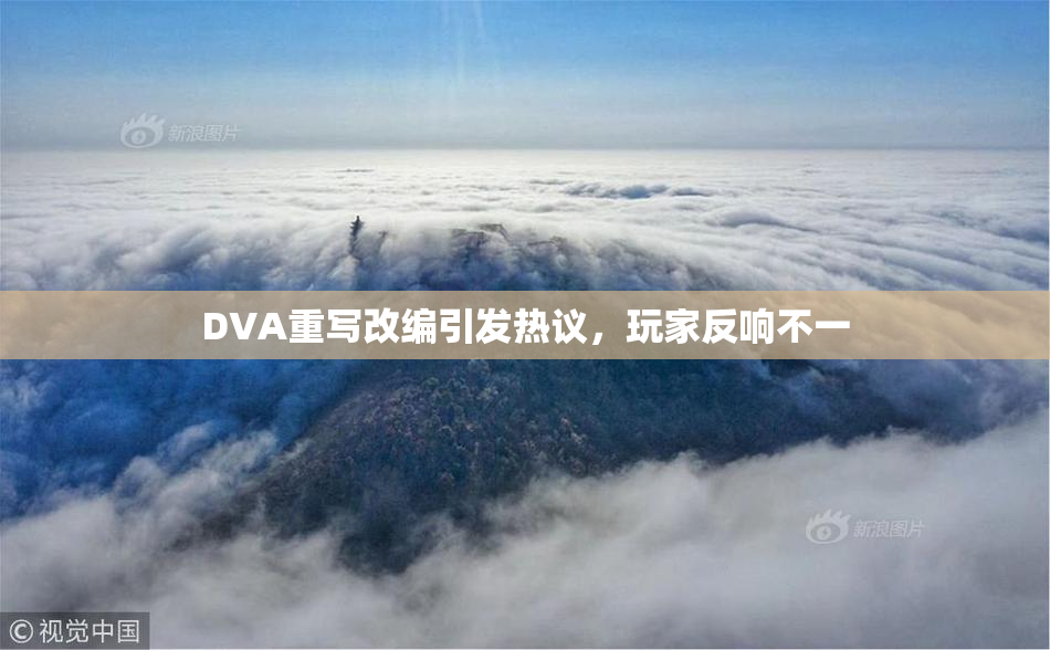DVA重写改编引发热议，玩家反响不一