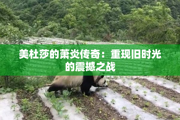 美杜莎的萧炎传奇：重现旧时光的震撼之战