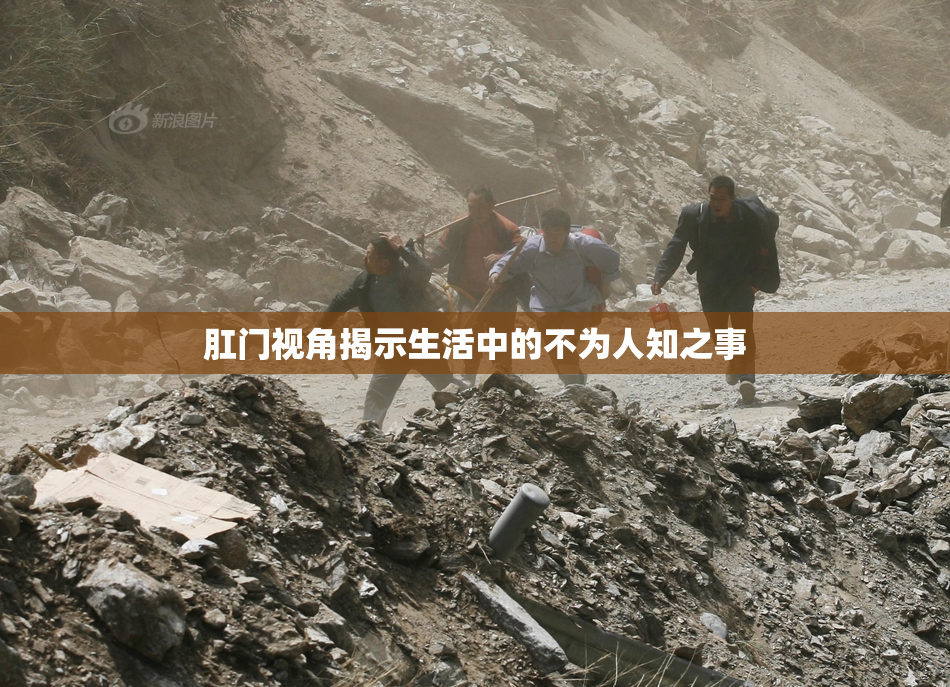 肛门视角揭示生活中的不为人知之事