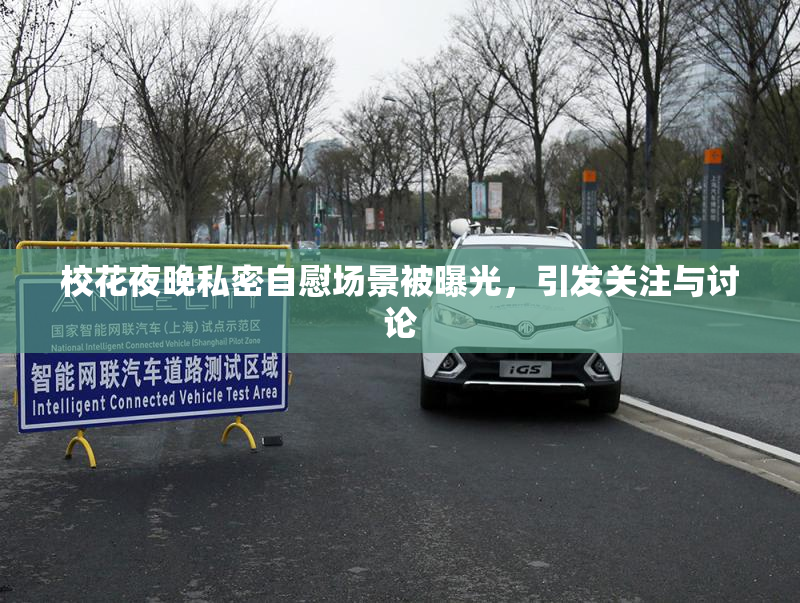 校花夜晚私密自慰场景被曝光，引发关注与讨论