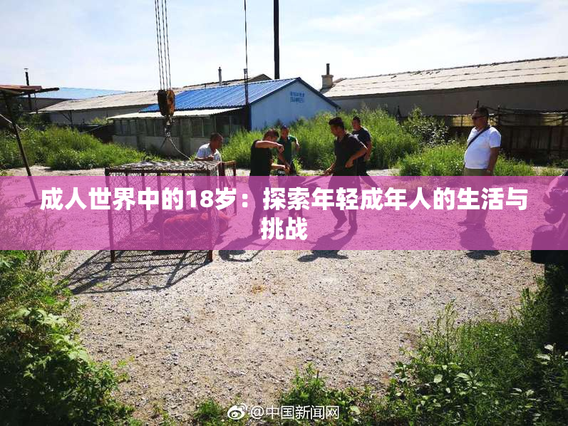 成人世界中的18岁：探索年轻成年人的生活与挑战