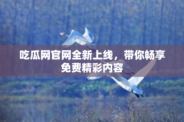 吃瓜网官网全新上线，带你畅享免费精彩内容