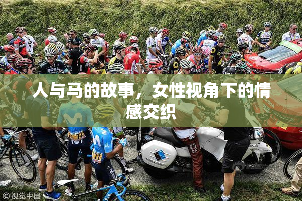 人与马的故事，女性视角下的情感交织