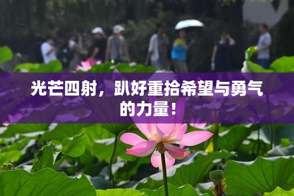 光芒四射，趴好重拾希望与勇气的力量！