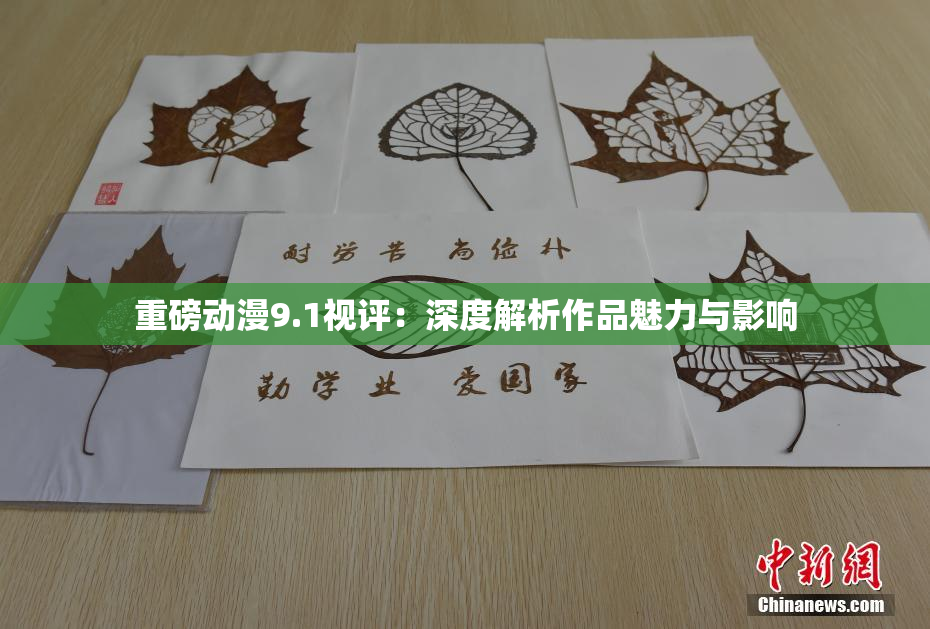 重磅动漫9.1视评：深度解析作品魅力与影响