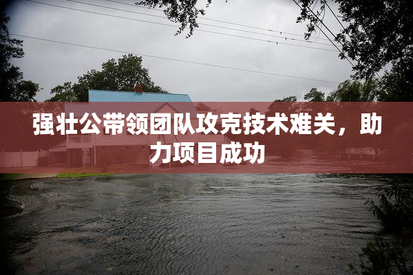 强壮公带领团队攻克技术难关，助力项目成功