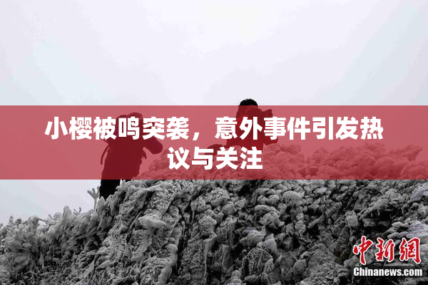 小樱被鸣突袭，意外事件引发热议与关注