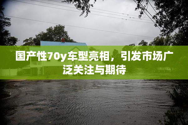 国产性70y车型亮相，引发市场广泛关注与期待