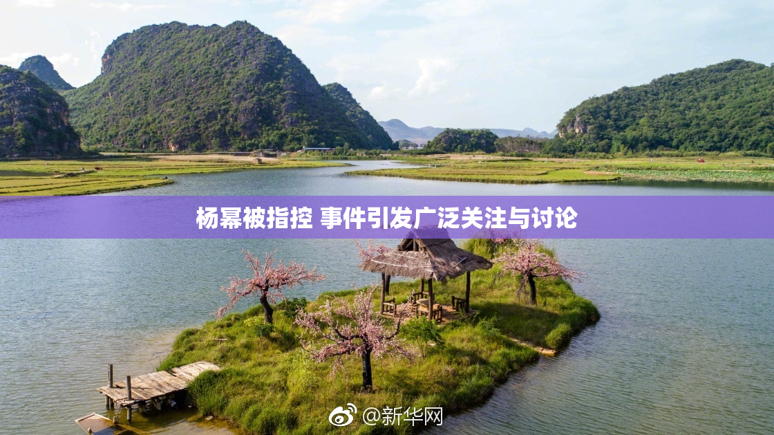 杨幂被指控 事件引发广泛关注与讨论