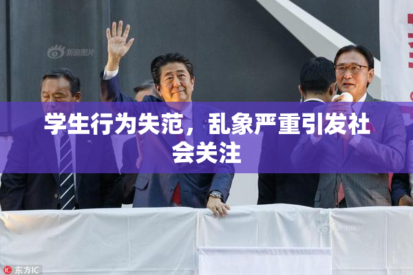 学生行为失范，乱象严重引发社会关注