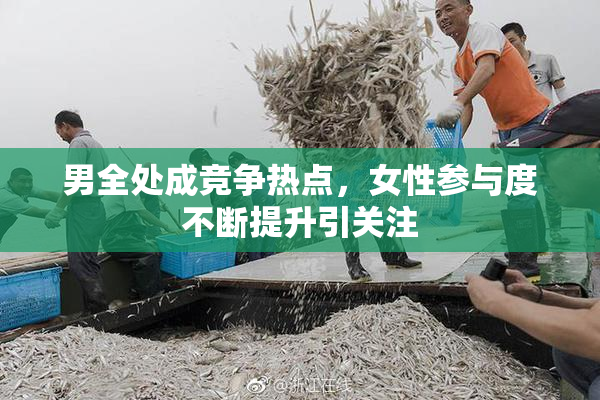 男全处成竞争热点，女性参与度不断提升引关注