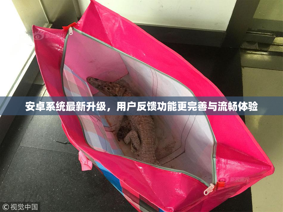 安卓系统最新升级，用户反馈功能更完善与流畅体验