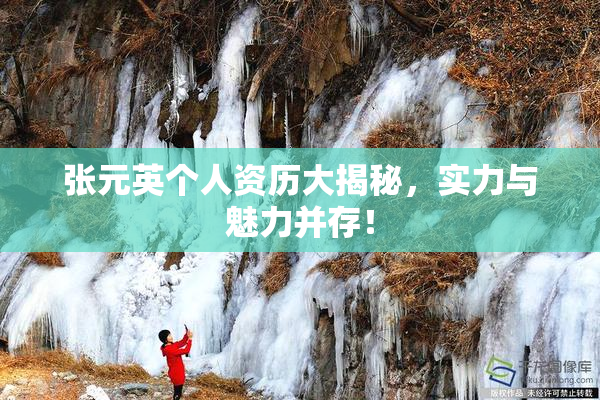 张元英个人资历大揭秘，实力与魅力并存！