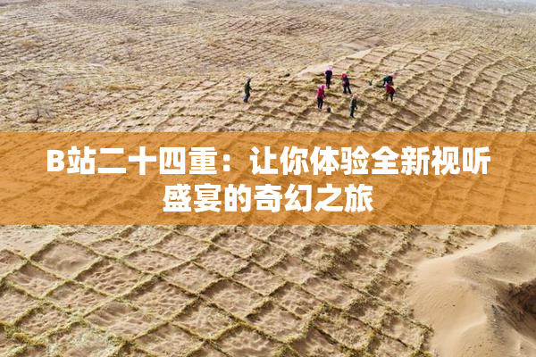 B站二十四重：让你体验全新视听盛宴的奇幻之旅