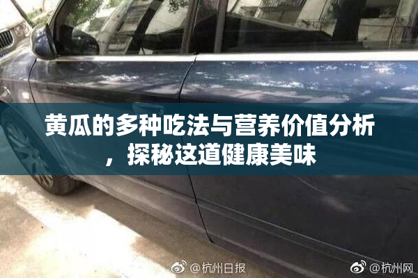 黄瓜的多种吃法与营养价值分析，探秘这道健康美味