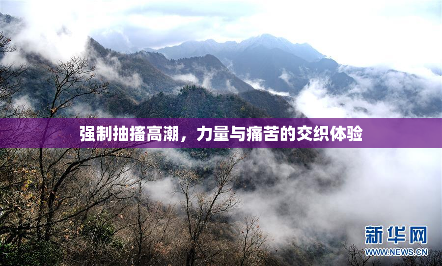 强制抽搐高潮，力量与痛苦的交织体验