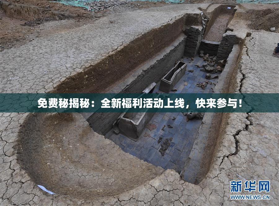 免费秘揭秘：全新福利活动上线，快来参与！