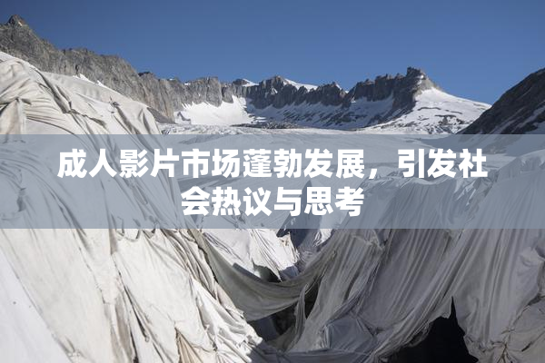 成人影片市场蓬勃发展，引发社会热议与思考