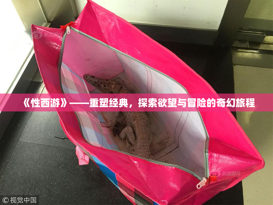 《性西游》——重塑经典，探索欲望与冒险的奇幻旅程