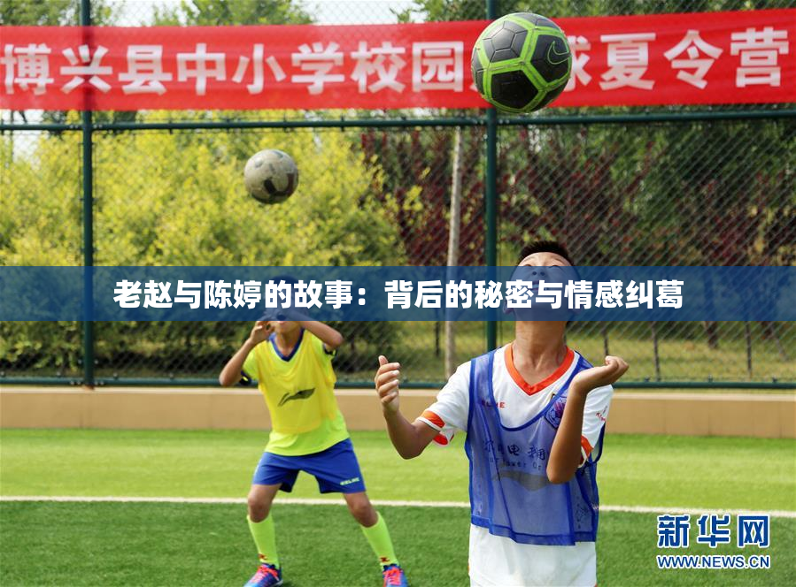 老赵与陈婷的故事：背后的秘密与情感纠葛