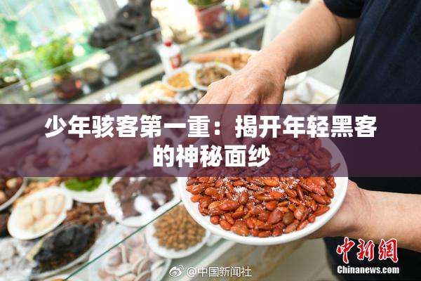 少年骇客第一重：揭开年轻黑客的神秘面纱