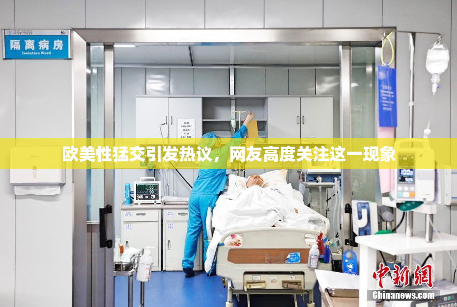 欧美性猛交引发热议，网友高度关注这一现象