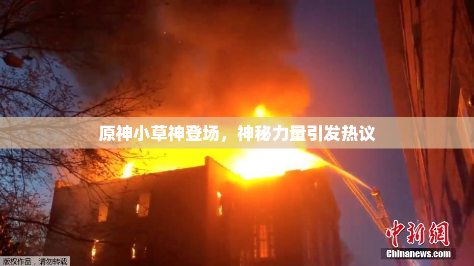 原神小草神登场，神秘力量引发热议