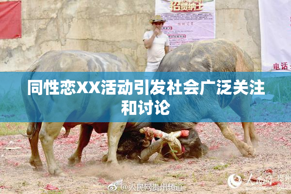 同性恋XX活动引发社会广泛关注和讨论