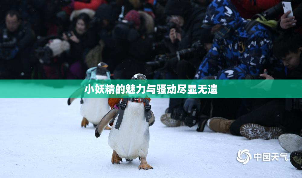 小妖精的魅力与骚动尽显无遗