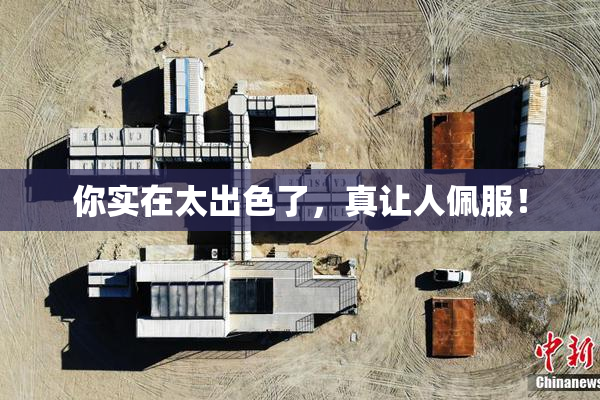 你实在太出色了，真让人佩服！