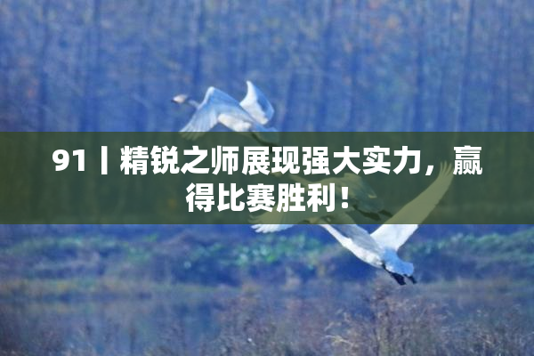 91丨精锐之师展现强大实力，赢得比赛胜利！